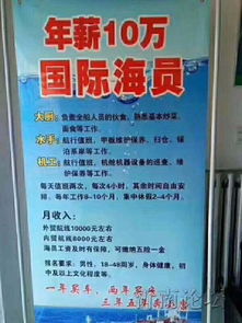 青島州海國際船舶管理 深耕國際船舶管理業務，賦能全球航運